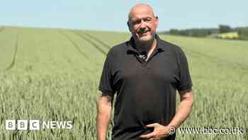 Cost of living: Farmers warn food prices are unlikely to fall