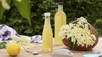 Holunderblütensirup mit nur fünf Zutaten einfach selber machen und im alkoholfreien Frischegetränk genießen