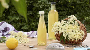 Holunderblütensirup mit nur fünf Zutaten einfach selber machen und im alkoholfreien Frischegetränk genießen