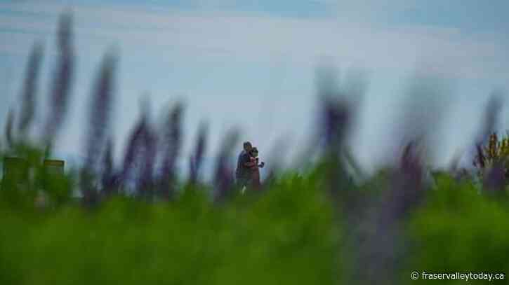 B.C.’s largest wildfire still threatens, as conditions elsewhere ease