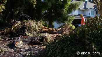 Driver crashes into trees, car catches fire in deadly single-car crash in Merced, CHP says