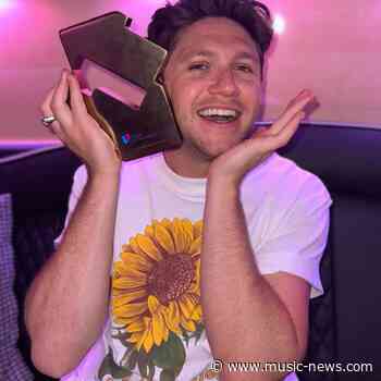 Niall Horan celebrates second Number 1 album with 'The Show'
