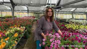 „Beobachten jedes Wölkchen und hoffen“: Trockenheit in Bayern macht Gärtnereien zu schaffen