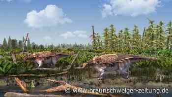 Forscher entdecken einen neuen Stachel-Dinosaurier
