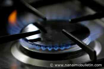 Time to ditch your gas stove for health reasons? The answer is ‘murky,’ experts say