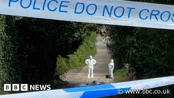 Colchester murder accused says flatmate demanded sex before stabbing