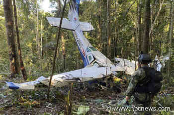 Indigenous plane crash searchers turned to ayahuasca to find missing kids