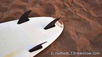 You can now rent a surfboard from the Virginia Beach Public Library. Here's where.