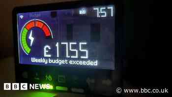 Energy bills support took too long to get to people - MPs