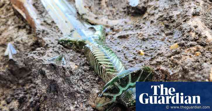 ‘Almost still shines’: 3,000-year-old sword unearthed in Germany