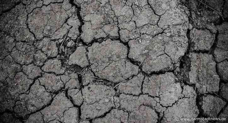 Überdurchschnittlich hohe Temperaturen und eine extreme Trockenphase – Wissenschaftsstadt Darmstadt gibt Praxistipps zur Klimaanpassung