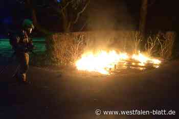 Paderborn: Elf Müllcontainer brennen auf dem Westfriedhof