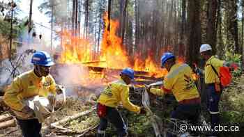Meet the international firefighters battling Canada's worst wildfire season in a century
