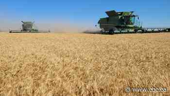 Business experts don't expect Bunge, Viterra deal to have much impact on jobs in Sask.