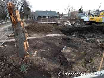 Saturday's letters: Cutting red tape leads to cutting down trees