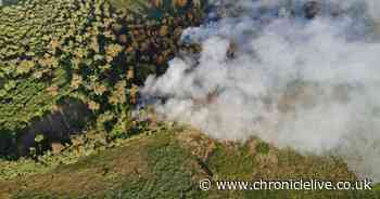 Firefighters remain at scene of huge wildfire near Newcastle Airport - four days after it broke out