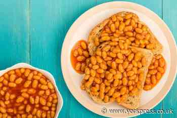 Baked beans could be grown in the UK for the first time