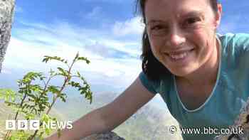 Trees found growing at record altitudes up Scotland's Munros