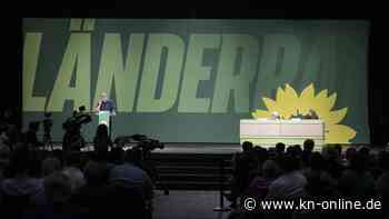 Die Grünen: Diskussionen über zukünftigen Parteikurs auf kleinem Parteitag