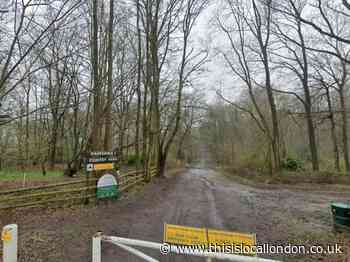 Best places to go in sunny weather say Romford locals