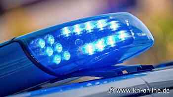 Tierquälerei in Fulda: Männer sollen Hund geschlagen und mit Steinen beworfen haben