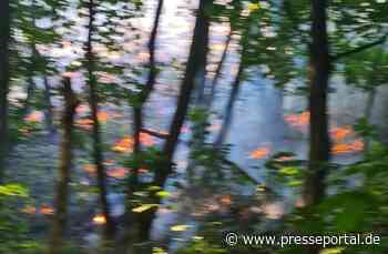 FW-BO: Ausgedehnter Vegetationsbrand in Bochum an der Steller Straße