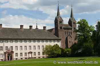 Werkstattbericht zur neuen Dauerausstellung im Welterbe Corvey