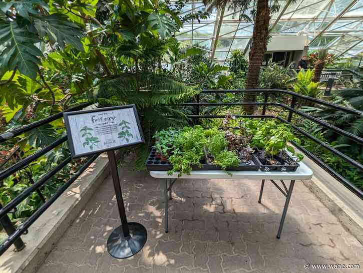 Father's Day in the Garden