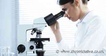 Four warning signs that could indicate cervical cancer explained by a gynaecologist