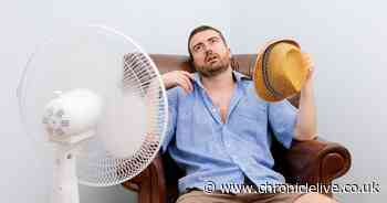 Best-rated electric fans under £70 to keep your bedroom cool this summer from B&Q, Argos, Currys and more