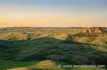 2 conservation organizations team up to protect 130-year old ranch in Alberta