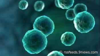 62 cases of Cyclospora reported in Colorado, many linked to taco restaurant