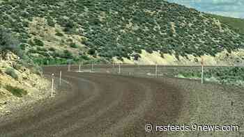 Mormon crickets are so bad in Nevada that crews are plowing them off the roads