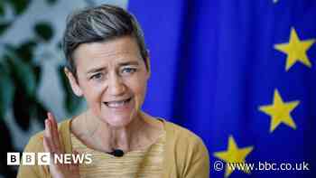 Using AI for loans and mortgages is big risk, warns EU boss