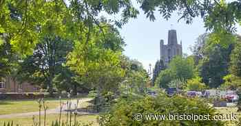 The ‘Goldilocks’ village in the West Country with glow worms in summer
