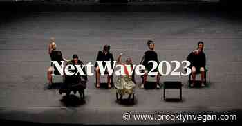 BAM 2023 Next Wave lineup: Lynette Wallworth & ANOHNI, more