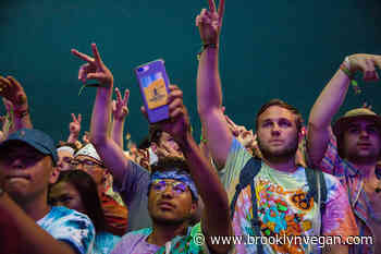 iPhone feature causing accidental Bonnaroo 911 calls, police say