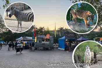 Zoo Nights returns to London Zoo for Summer 2023