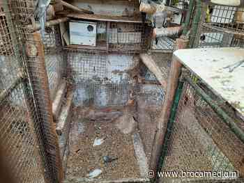 Inbeslagname leidt tot meer van hetzelfde