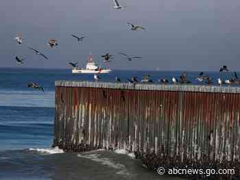 El Niño, not avian flu, caused the deaths of hundreds of birds in Mexico, government says