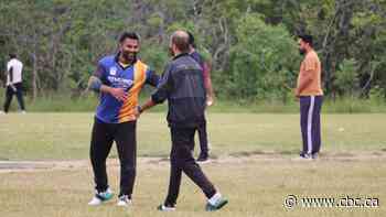 For $8 you get pizza, a drink and a cricket match in what might be Hamilton's most affordable league
