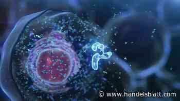 Dax, MDax, SDax: Morphosys, Secunet, CTS Eventim – Die Gewinner und Verlierer der Börsenwoche