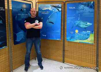 Quatre préjugés sur les requins renversés