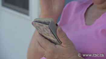 Scammers can easily use voice-cloning AI to con family members: expert