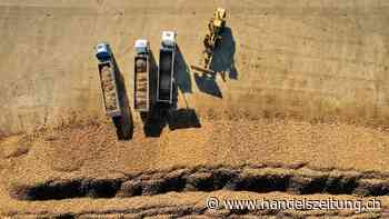 Zuckerproduzenten fahren trotz Inflation hohe Gewinne ein