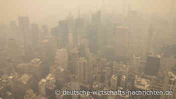 Die Bankenkrise war geplant - und verfolgt ein gefährliches Ziel