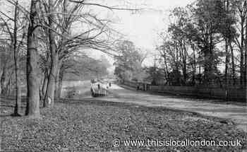 What purpose did the old Horse Pond in Loughton serve?