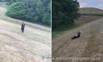 Officer sees the funny side of policing after sliding down hill