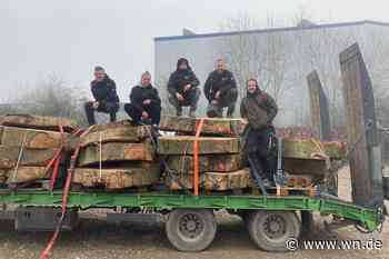 Blutbuche wird zum Meisterwerk