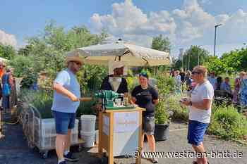 Hunderte Besucher genießen das Mühlenfest in Ölmühle Boffzen